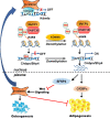 Fig. 10