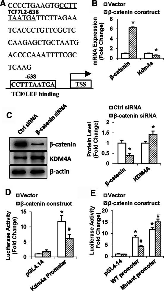 Fig. 9