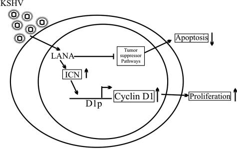 FIG. 8.