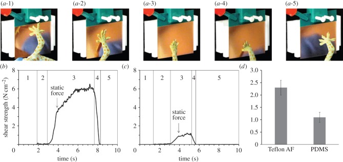 Figure 1.