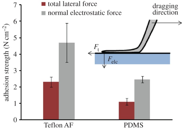 Figure 3.