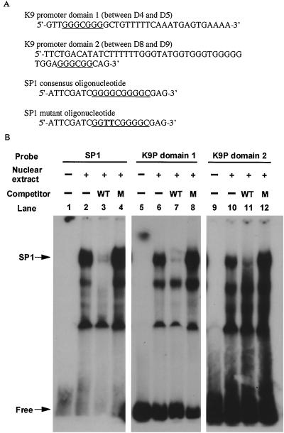 FIG. 8