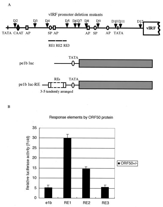 FIG. 7