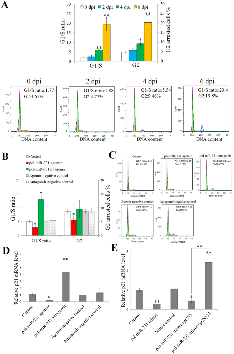 Figure 6