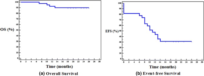 Fig. 4