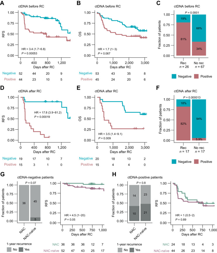 Figure 3. ctDNA detection for prognosis assessment in patients not treated with NAC. A, Kaplan–Meier survival analysis of RFS and plasma ctDNA status before RC. B, Kaplan–Meier survival analysis of OS and plasma ctDNA status before RC. C, Association between plasma ctDNA status before RC and recurrence status within 1 year after RC including only patients with at least 1 year of follow-up after RC. D, Kaplan–Meier survival analysis of RFS and accumulated plasma ctDNA status after RC. E, Kaplan–Meier survival analysis of OS and accumulated plasma ctDNA status after RC. F, Association between plasma ctDNA status after RC and recurrence. Recurrence was defined as detection of clinical recurrence from radiographic imaging results up to 2 years after the last plasma sample was analyzed. No recurrence was defined as absence of clinical recurrence during the surveillance period of up to 2 years after the last plasma sample was analyzed, including only patients with at least 2 years of follow-up after RC. G, One-year recurrence rates (left) and Kaplan–Meier survival analysis of RFS (right) for baseline ctDNA-negative patients in the NAC-treated and NAC-naïve cohorts. H, One-year recurrence rates (left) and Kaplan–Meier survival analysis of RFS (right) for baseline ctDNA-positive patients in the NAC-treated and NAC-naïve cohorts. HRs, associated 95% CIs, and P values are displayed on each Kaplan–Meier plot (Cox regression analysis). Significant statistical difference between ctDNA status and recurrence was determined using Fisher exact test.