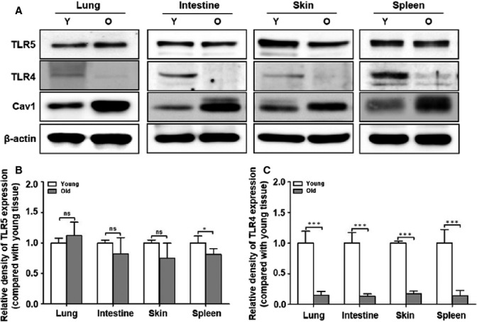 Fig 4