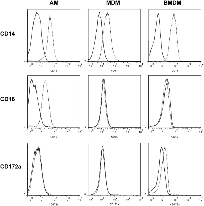 FIGURE 4.