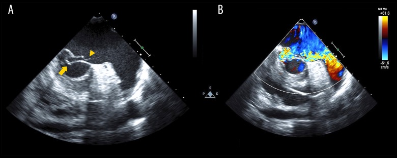 Figure 2.