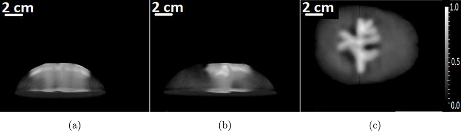 Figure 8: