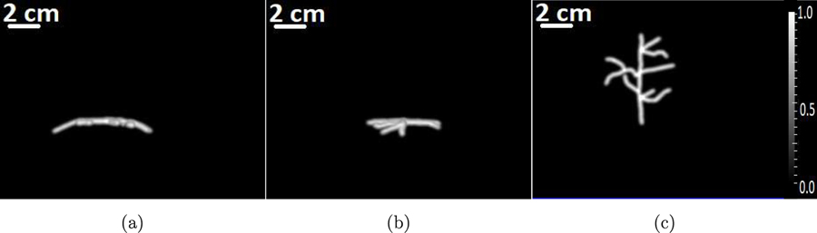 Figure 5: