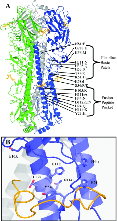 FIG. 1.