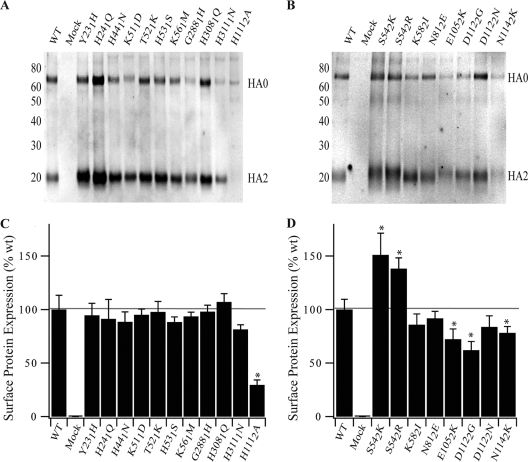 FIG. 3.