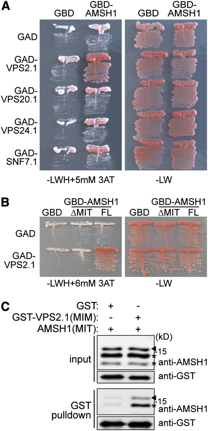 Figure 5.