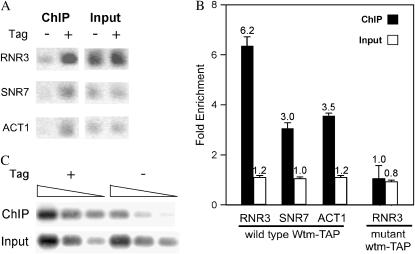 Figure 4.—