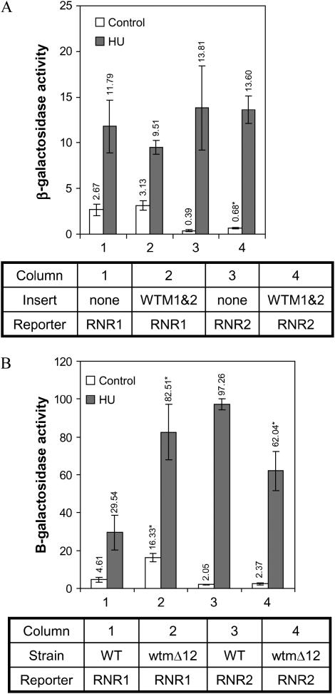 Figure 6.—