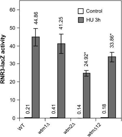 Figure 5.—