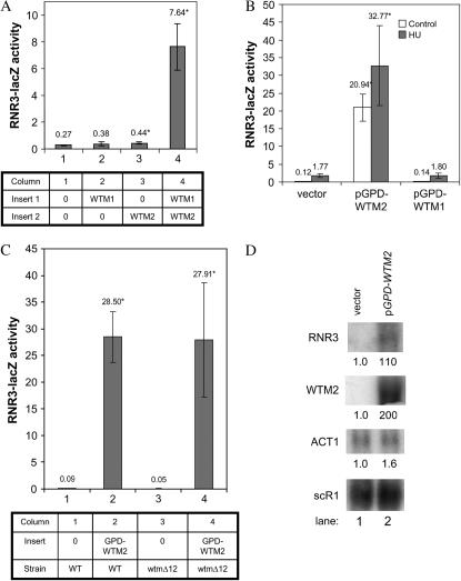 Figure 3.—