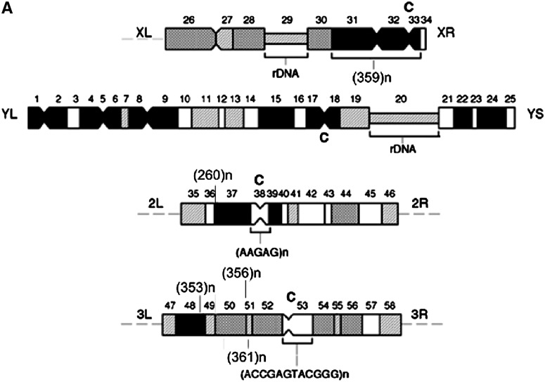 Figure 1.—