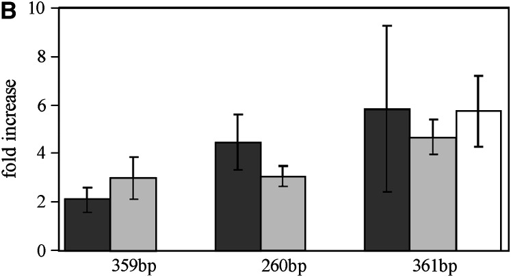 Figure 2.—