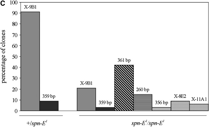 Figure 2.—