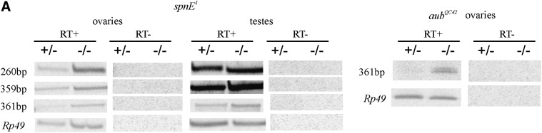 Figure 2.—