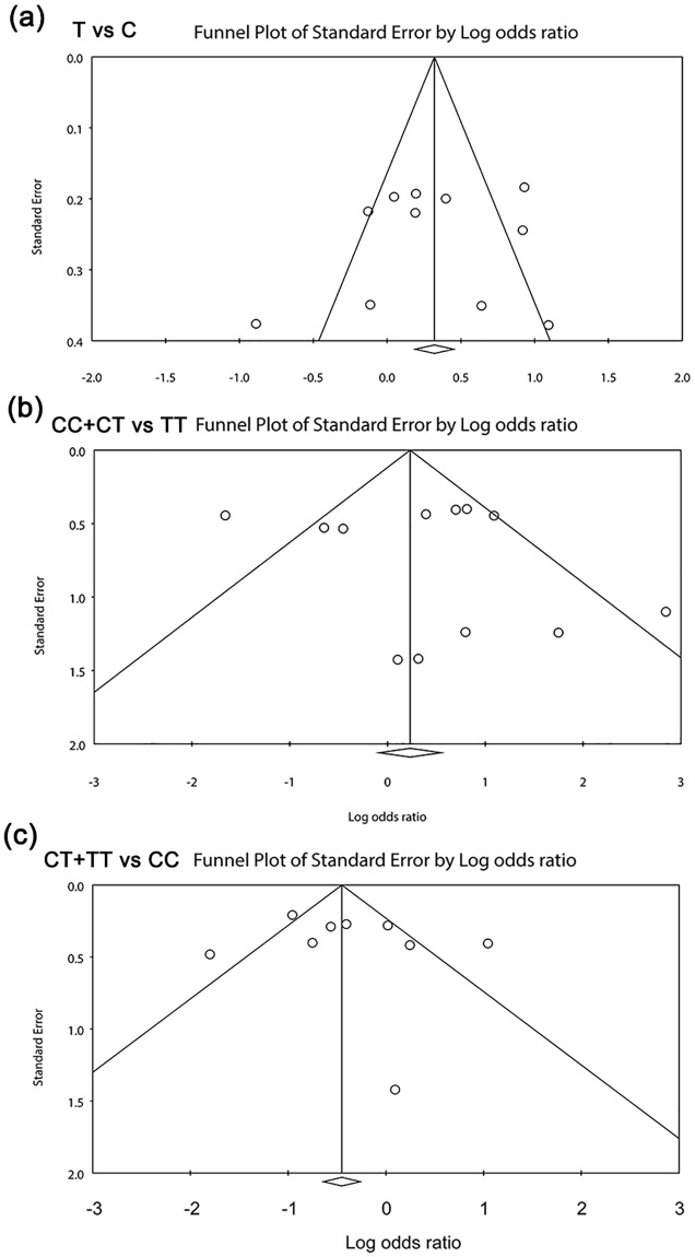 Fig 5