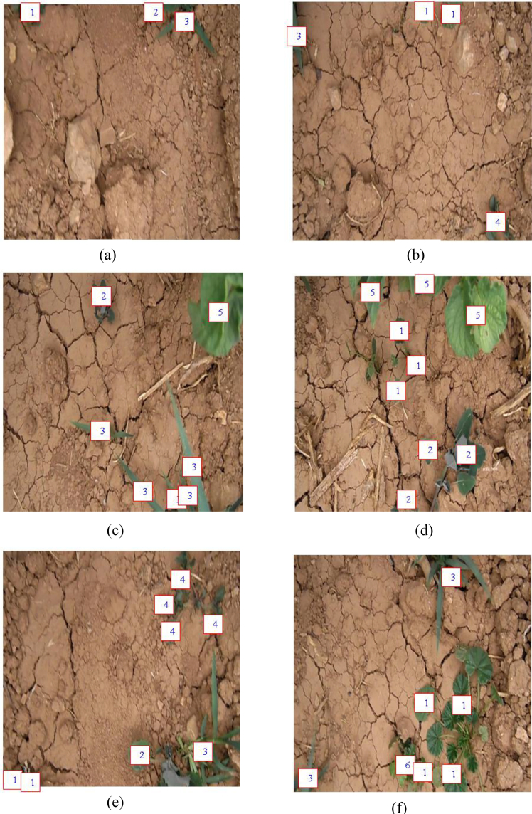 Figure 12