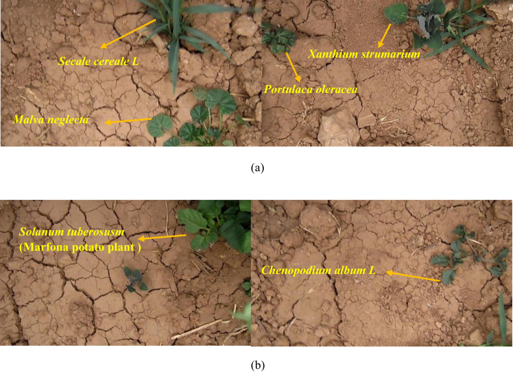 Figure 3