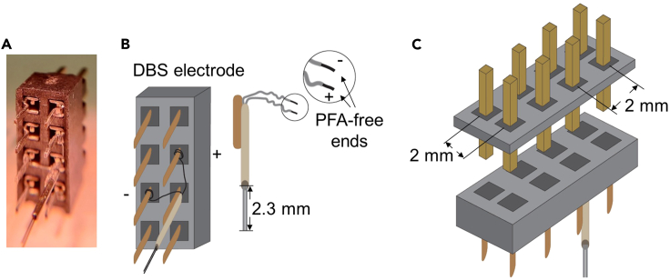 Figure 1