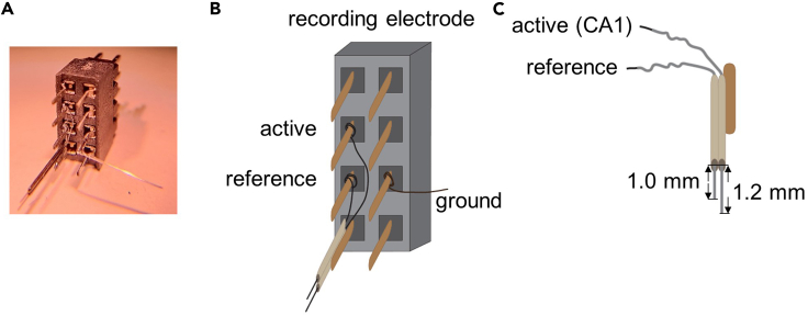 Figure 2