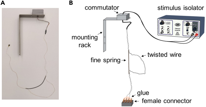 Figure 3