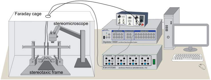 Figure 5