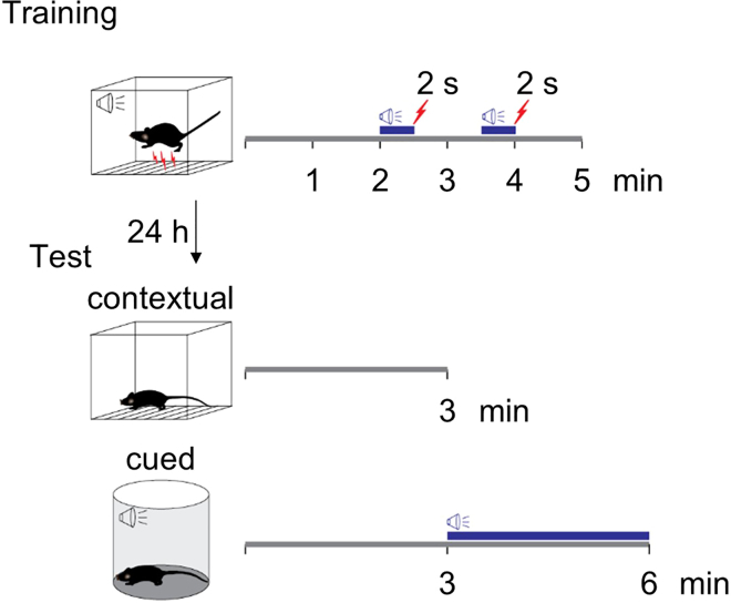 Figure 10