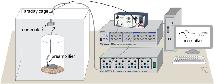 Figure 7