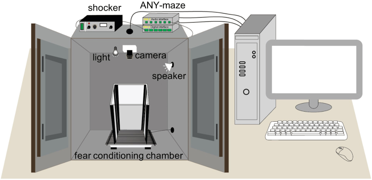 Figure 9