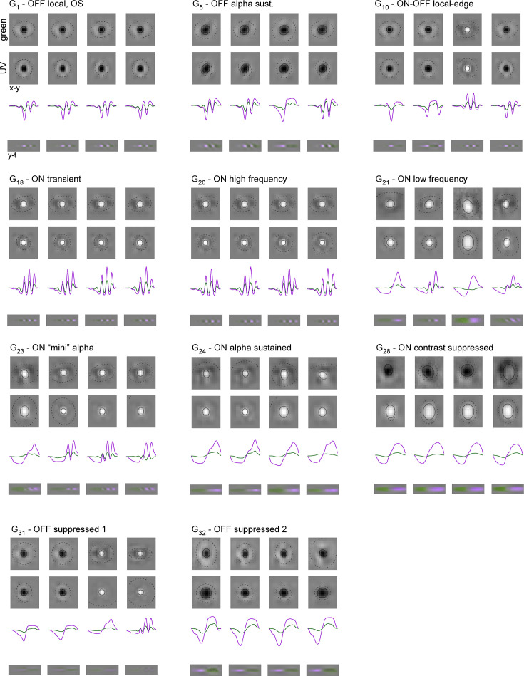 Figure 3—figure supplement 1.