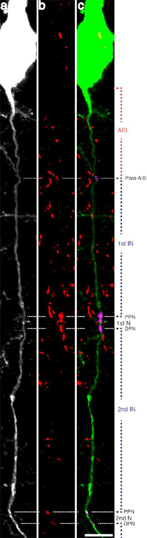 Fig 5