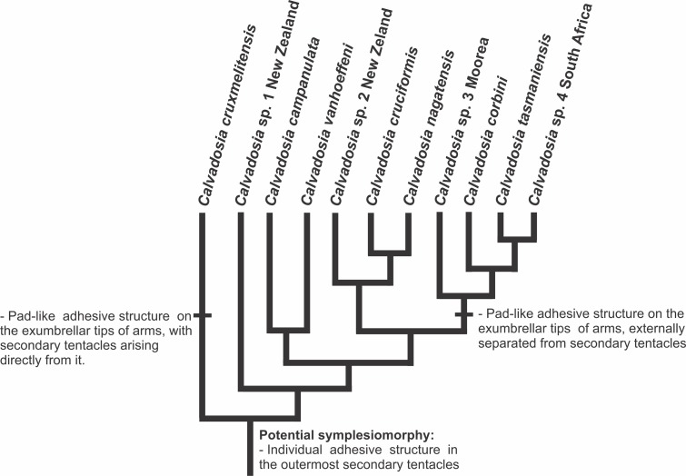 Figure 16