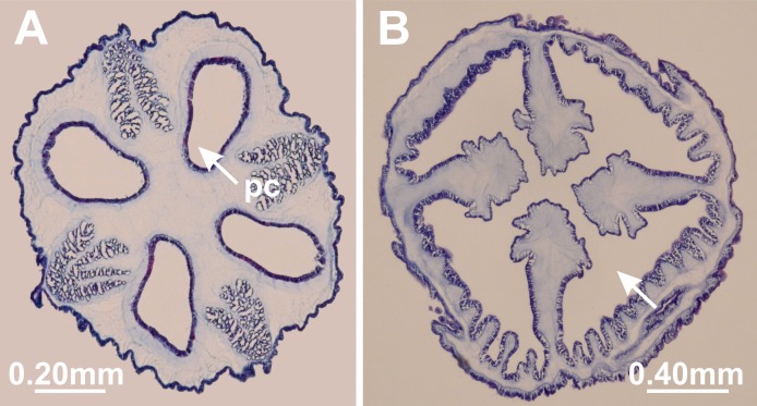 Figure 14