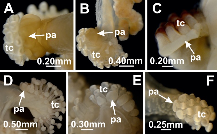 Figure 15