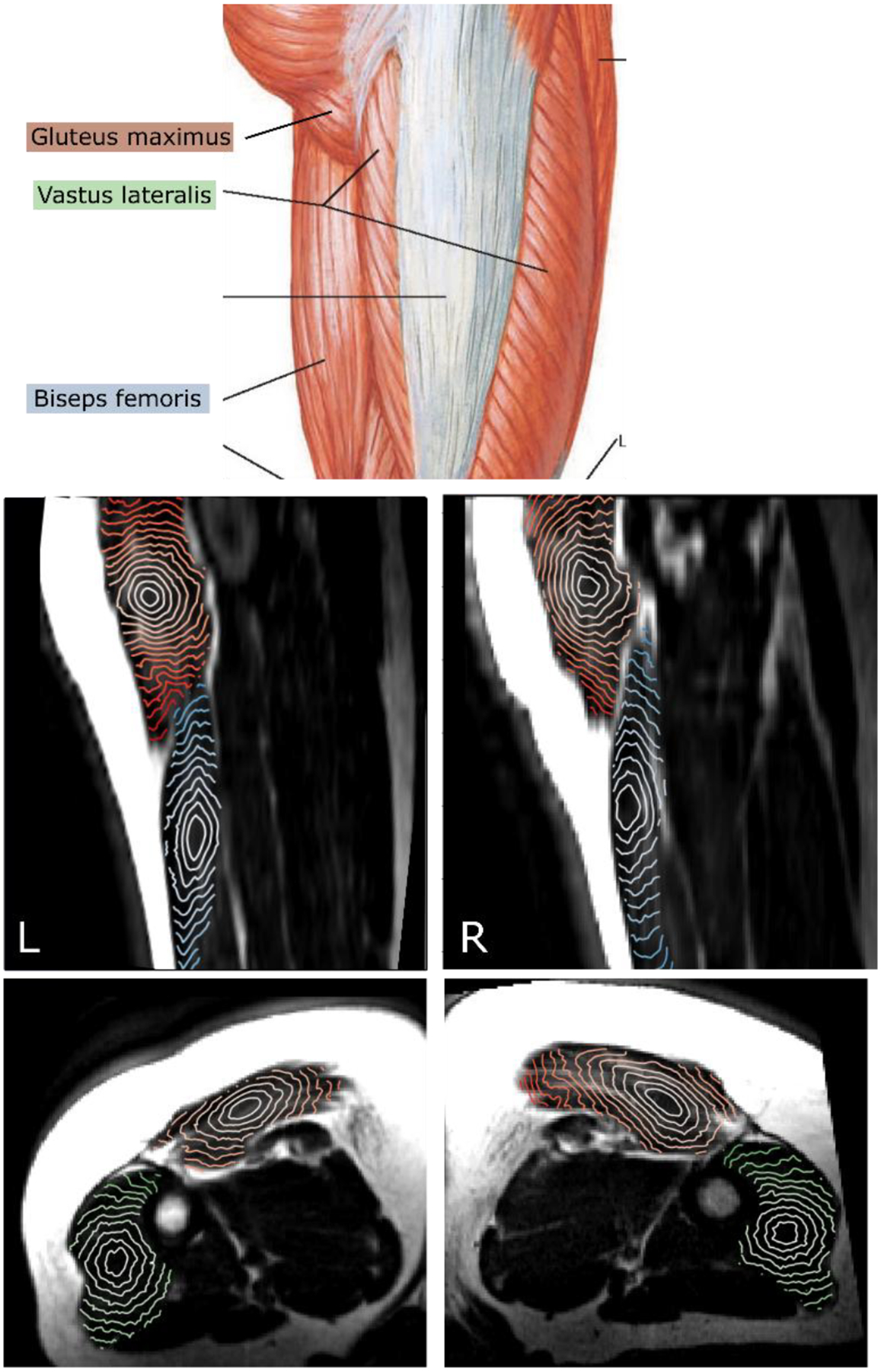 Figure 3.