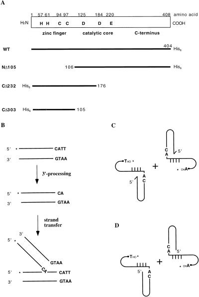 FIG. 1
