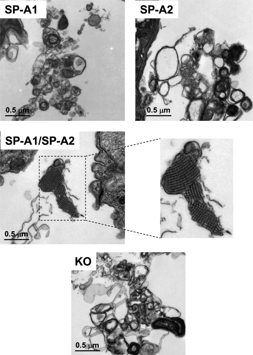 FIGURE 10.