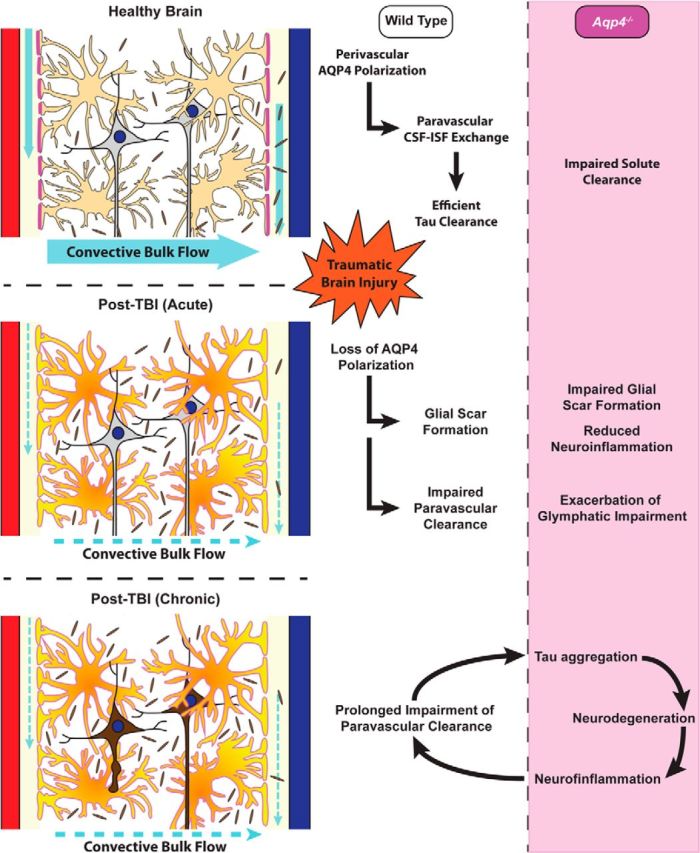 Figure 10.