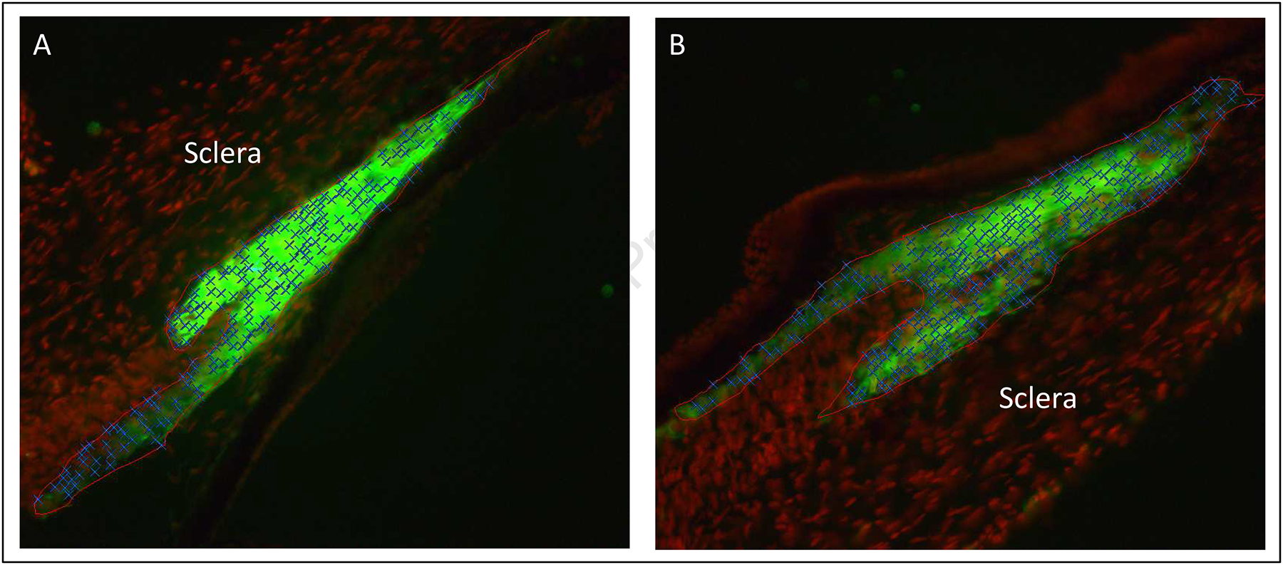 Figure 2: