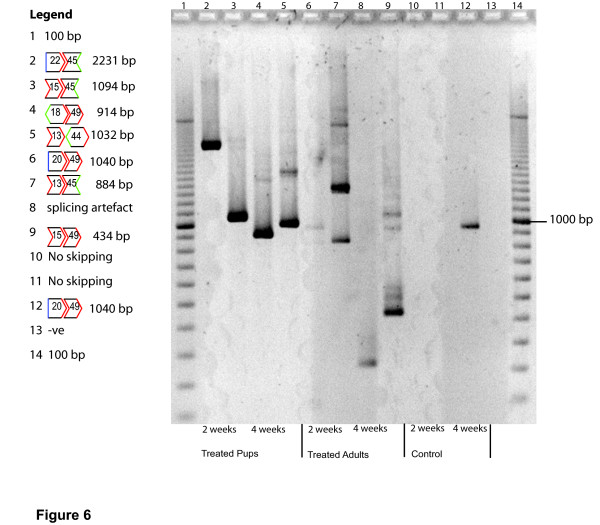 Figure 6