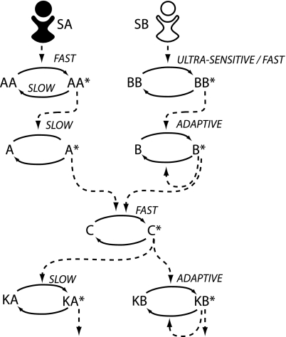 Fig. 4.