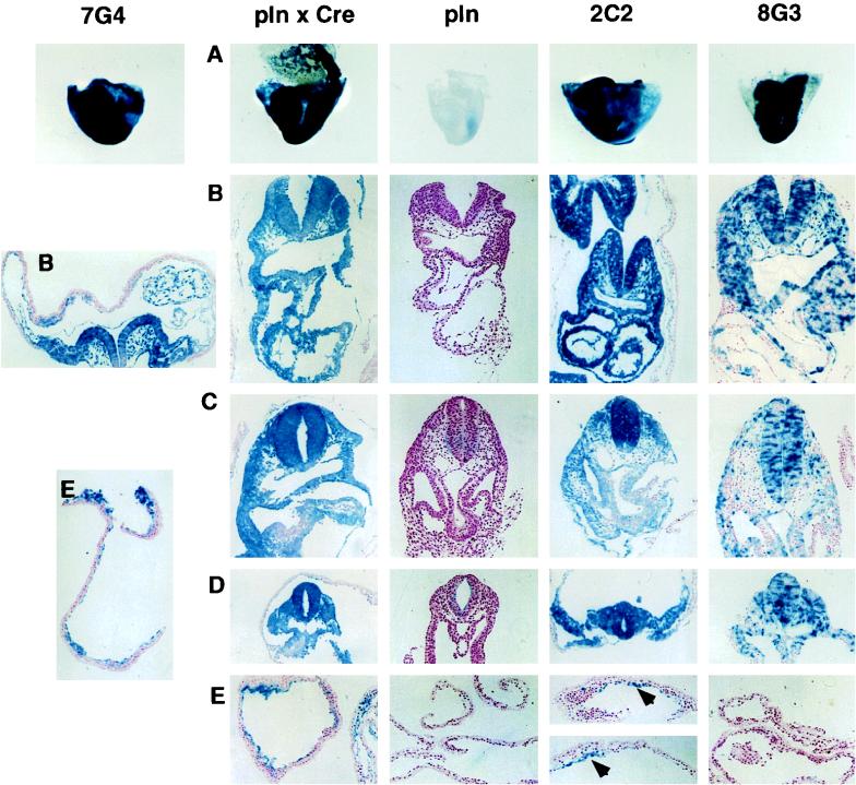 FIG. 6