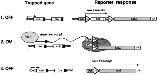 FIG. 1